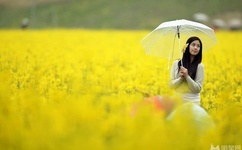 麻婆豆腐传媒一区二区三区